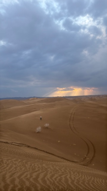 ستاره های کویری